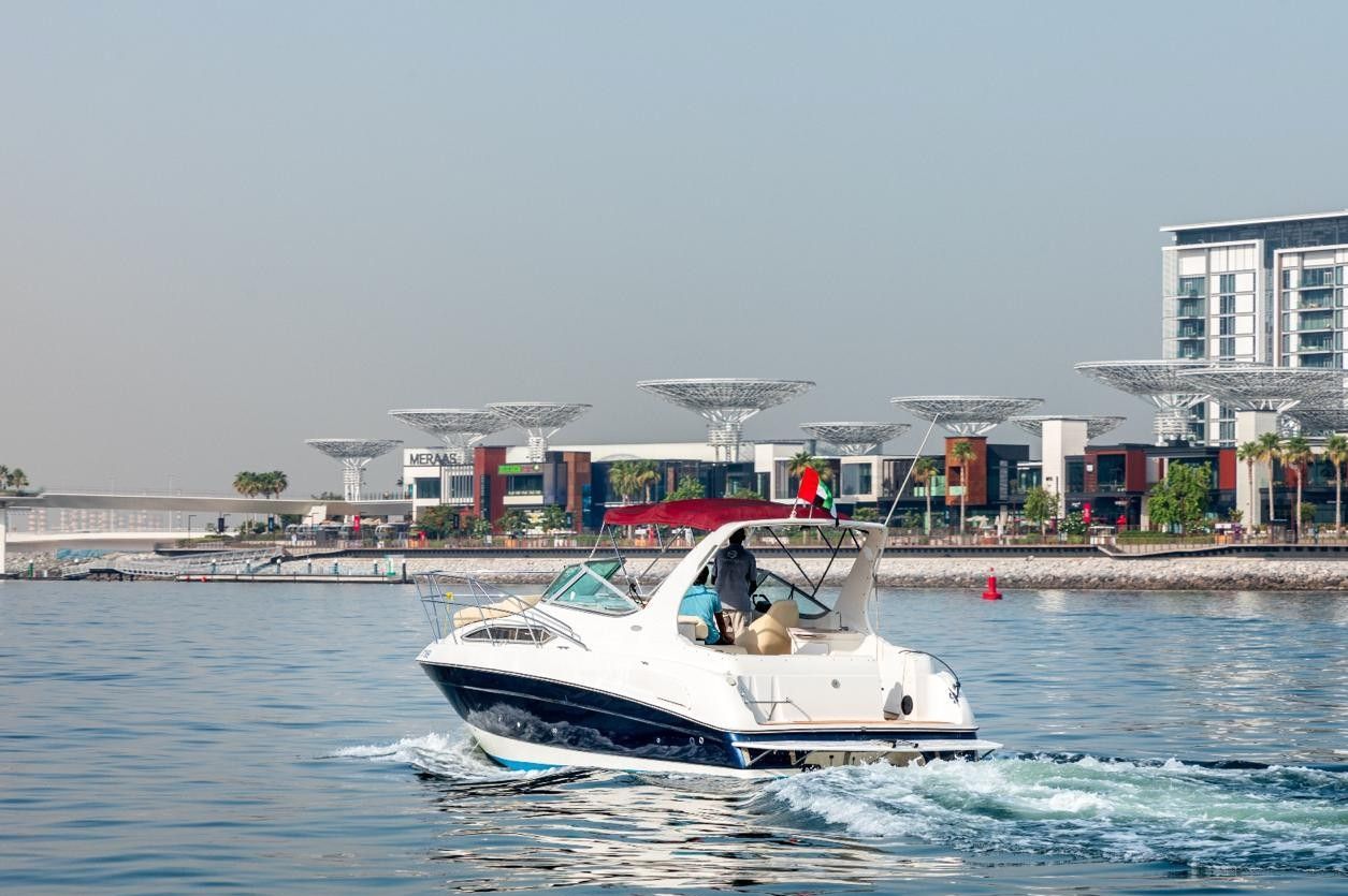 33 ft Regal, photo 6